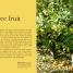Grow Fruit - thumbnail of spread image 2 Thumbnail image of Grow Fruit - 2