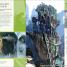 The World of Avatar - thumbnail of spread image 2 Thumbnail image of The World of Avatar - 2