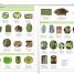 Gemstones - thumbnail of spread image 2 Thumbnail image of Gemstones - 2