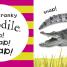 Baby Roar! Roar! - thumbnail of spread image 4 Thumbnail image of Baby Roar! Roar! - 4