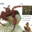 DK Readers L0: Fishy Tales - thumbnail of spread image 4 Thumbnail image of DK Readers L0: Fishy Tales - 4