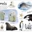 My First Animals Let's Squeak and Squawk - thumbnail of spread image 3 Thumbnail image of My First Animals Let's Squeak and Squawk - 3