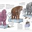 Mammoth Science - thumbnail of spread image 3 Thumbnail image of Mammoth Science - 3