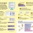 Coding With Scratch Made Easy Ages 5-9 Key Stage 1 - thumbnail of spread image 3 Thumbnail image of Coding With Scratch Made Easy Ages 5-9 Key Stage 1 - 3