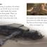 DK Readers L2: Star Wars: Rey to the Rescue! - thumbnail of spread image 2 Thumbnail image of DK Readers L2: Star Wars: Rey to the Rescue! - 2