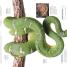 Snake - thumbnail of spread image 2 Thumbnail image of Snake - 2