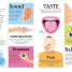 DKfindout! Human Body - thumbnail of spread image 3 Thumbnail image of DKfindout! Human Body - 3