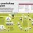 How Psychology Works - thumbnail of spread image 7 Thumbnail image of How Psychology Works - 7