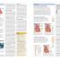 BMA Complete Home Medical Guide - thumbnail of spread image 4 Thumbnail image of BMA Complete Home Medical Guide - 4