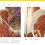 The Complete Human Body - thumbnail of spread image 6 Thumbnail image of The Complete Human Body - 6