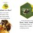 DK Readers L2: Amazing Bees - thumbnail of spread image 2 Thumbnail image of DK Readers L2: Amazing Bees - 2