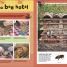 RHS Let's Get Gardening - thumbnail of spread image 4 Thumbnail image of RHS Let's Get Gardening - 4