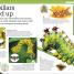 It Can't Be True! Animals! - thumbnail of spread image 5 Thumbnail image of It Can't Be True! Animals! - 5