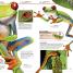 Animal! - thumbnail of spread image 2 Thumbnail image of Animal! - 2