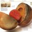 Knowledge Encyclopedia Space! - thumbnail of spread image 2 Thumbnail image of Knowledge Encyclopedia Space! - 2