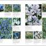 Encyclopedia of Plants and Flowers - thumbnail of spread image 4 Thumbnail image of Encyclopedia of Plants and Flowers - 4