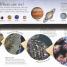 Earth - thumbnail of spread image 3 Thumbnail image of Earth - 3