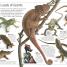 DK Eyewitness Books: Reptile - thumbnail of spread image 4 Thumbnail image of DK Eyewitness Books: Reptile - 4