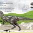 My Encyclopedia of Very Important Dinosaurs - thumbnail of spread image 4 Thumbnail image of My Encyclopedia of Very Important Dinosaurs - 4