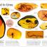 The Dinosaurs Book - thumbnail of spread image 6 Thumbnail image of The Dinosaurs Book - 6