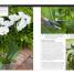 Orchids - thumbnail of spread image 3 Thumbnail image of Orchids - 3