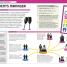 The Careers Handbook - thumbnail of spread image 2 Thumbnail image of The Careers Handbook - 2