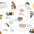Ultimate Sticker Book: Pets - thumbnail of spread image 2 Thumbnail image of Ultimate Sticker Book: Pets - 2