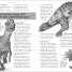 Dinosaurs - thumbnail of spread image 2 Thumbnail image of Dinosaurs - 2
