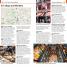 Top 10 London - thumbnail of spread image 6 Thumbnail image of Top 10 London - 6