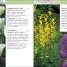 RHS Gardening Month by Month - thumbnail of spread image 2 Thumbnail image of RHS Gardening Month by Month - 2