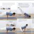 Yoga: Your Home Practice Companion - thumbnail of spread image 2 Thumbnail image of Yoga: Your Home Practice Companion - 2