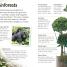 Woodland and Forest - thumbnail of spread image 3 Thumbnail image of Woodland and Forest - 3