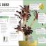 Happy Cactus - thumbnail of spread image 4 Thumbnail image of Happy Cactus - 4