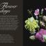Biodynamic Gardening - thumbnail of spread image 4 Thumbnail image of Biodynamic Gardening - 4