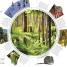 Wildlife of the World - thumbnail of spread image 2 Thumbnail image of Wildlife of the World - 2