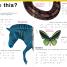 DK Braille: Animals - thumbnail of spread image 7 Thumbnail image of DK Braille: Animals - 7