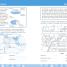 DK Workbooks: Geography, Second Grade - thumbnail of spread image 1 Thumbnail image of DK Workbooks: Geography, Second Grade - 1