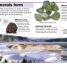 DK Pocket Eyewitness Rocks and Minerals - thumbnail of spread image 2 Thumbnail image of DK Pocket Eyewitness Rocks and Minerals - 2