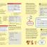Raspberry Pi Made Easy - thumbnail of spread image 2 Thumbnail image of Raspberry Pi Made Easy - 2