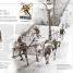 Bicycle - thumbnail of spread image 2 Thumbnail image of Bicycle - 2