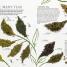 The Tea Book - thumbnail of spread image 4 Thumbnail image of The Tea Book - 4
