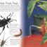 Eye Wonder: Bugs - thumbnail of spread image 2 Thumbnail image of Eye Wonder: Bugs - 2