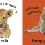 Baby Touch and Feel: Fluffy Animals - thumbnail of spread image 3 Thumbnail image of Baby Touch and Feel: Fluffy Animals - 3