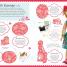 Ultimate Sticker Collection: American Girl - thumbnail of spread image 3 Thumbnail image of Ultimate Sticker Collection: American Girl - 3