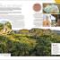 DK Eyewitness Travel Guide Cuba - thumbnail of spread image 6 Thumbnail image of DK Eyewitness Travel Guide Cuba - 6