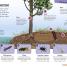 DKfindout! Bugs - thumbnail of spread image 2 Thumbnail image of DKfindout! Bugs - 2