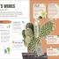 Happy Cactus - thumbnail of spread image 4 Thumbnail image of Happy Cactus - 4