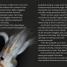 DK Adventures: Terrors of the Deep - thumbnail of spread image 2 Thumbnail image of DK Adventures: Terrors of the Deep - 2