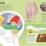 Utterly Amazing Human Body - thumbnail of spread image 4 Thumbnail image of Utterly Amazing Human Body - 4