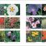 RHS Gardening Through the Year - thumbnail of spread image 1 Thumbnail image of RHS Gardening Through the Year - 1